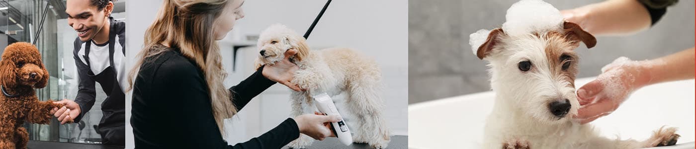 multiple images banner