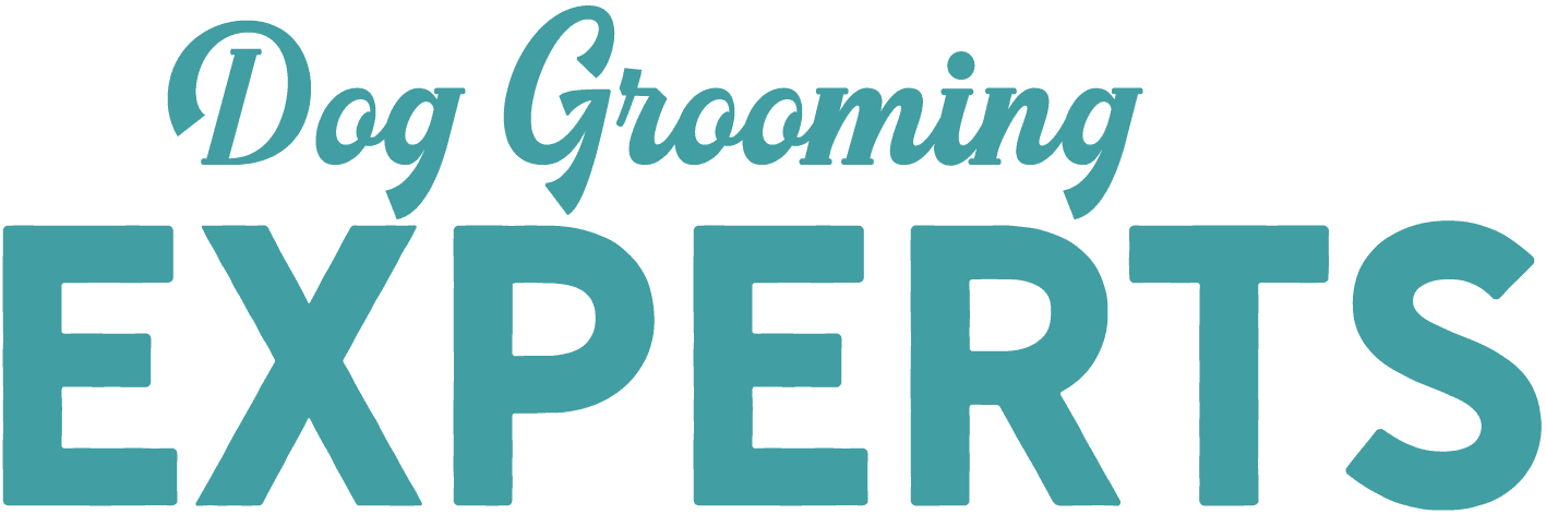 text dog grooming experts