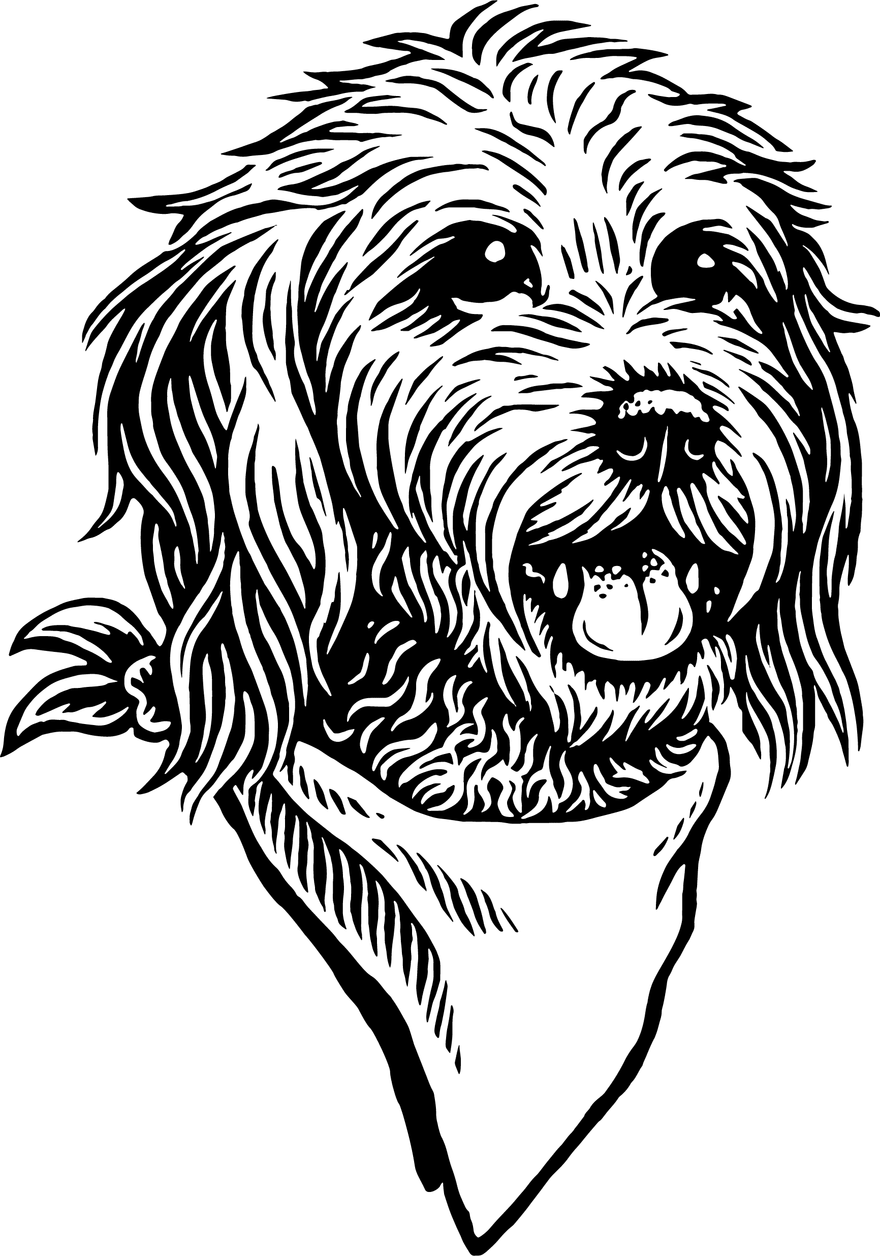 pet head black and white