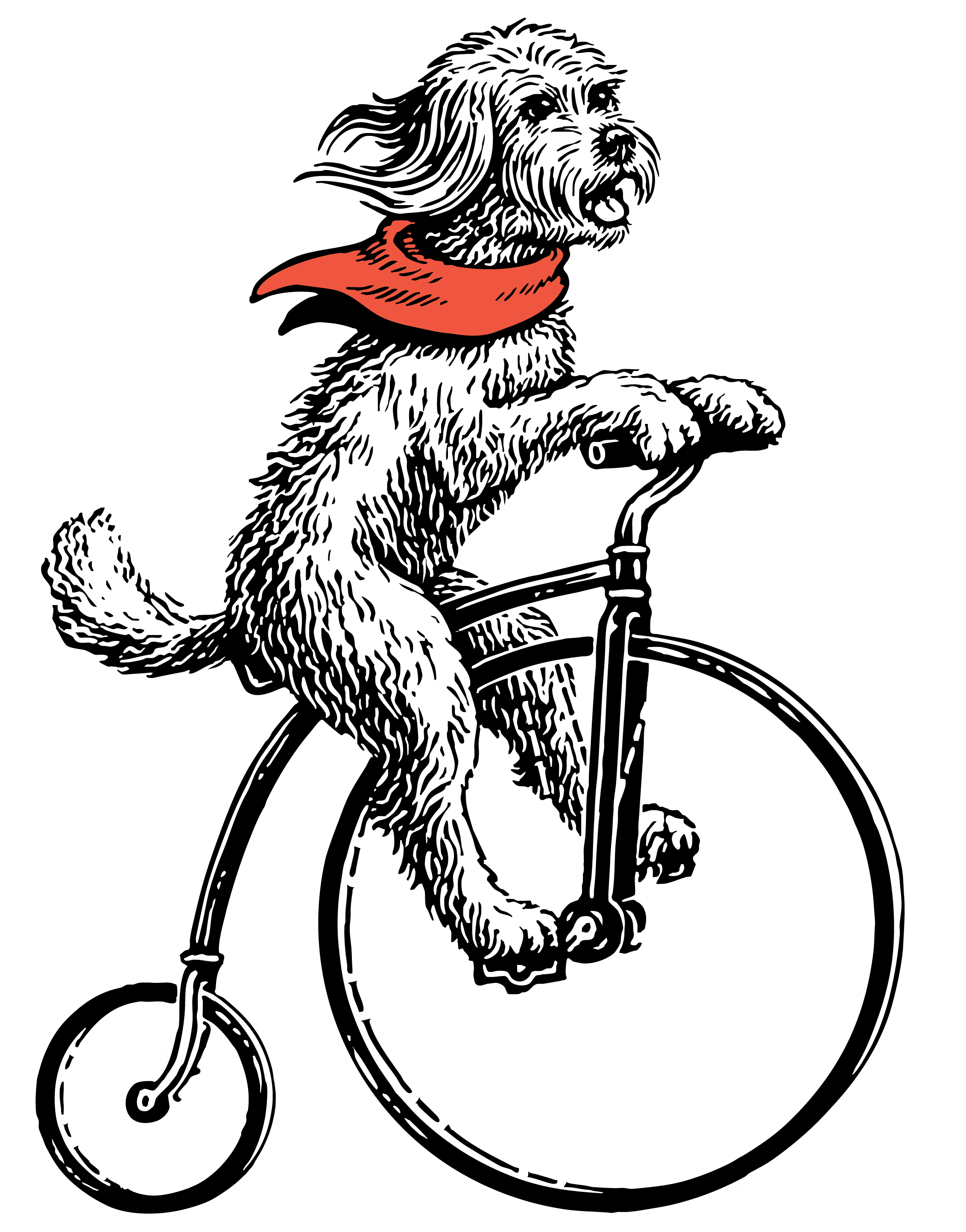 dog riding bicycle