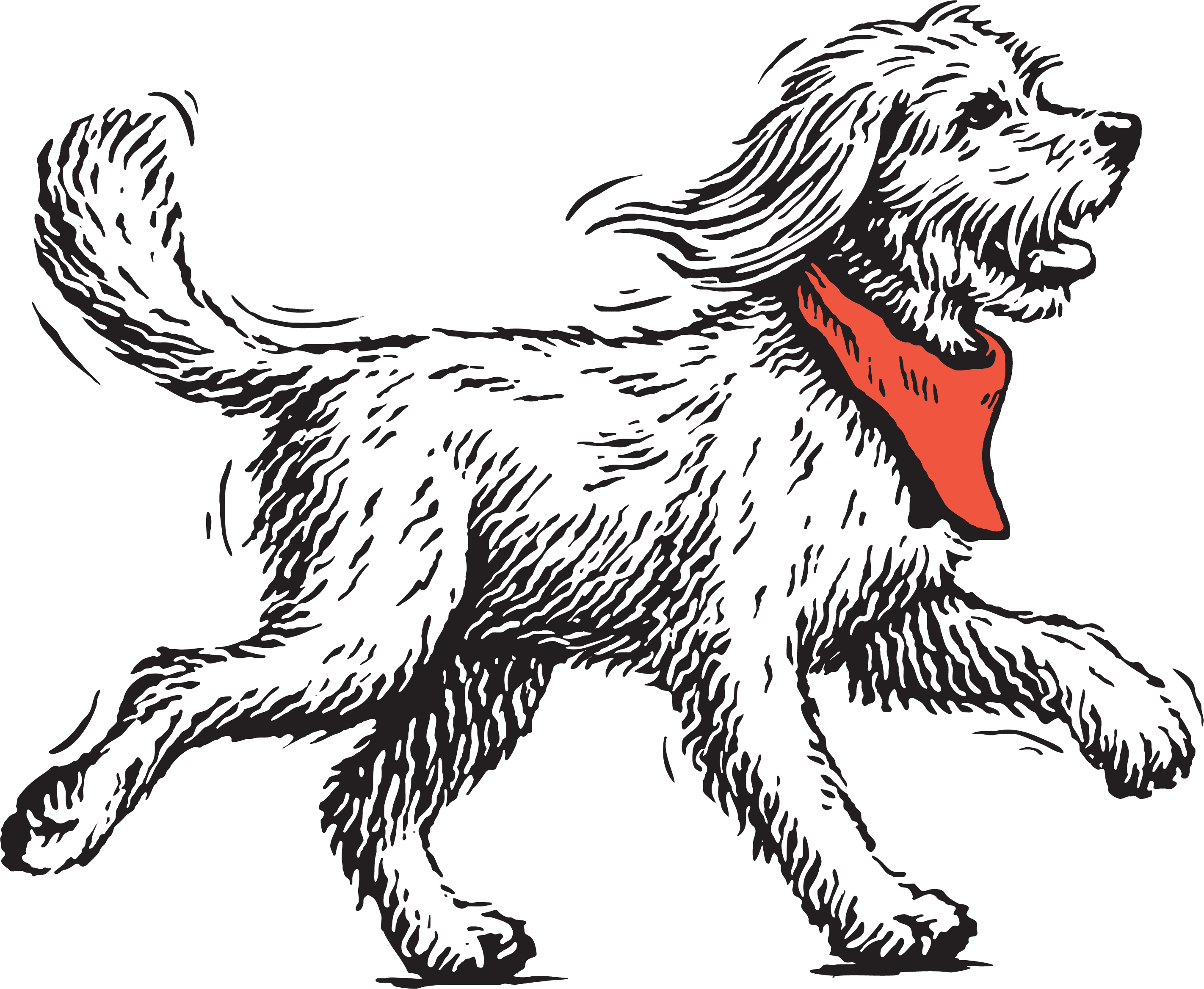 Dog Illustration