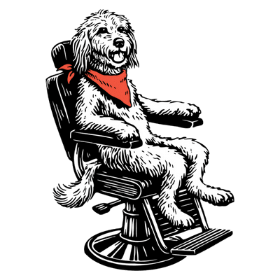 Rosie the goldendoodle getting groomed at Good Clean Dog