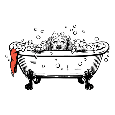 Rosie the goldendoodle getting a bath at Good Clean Dog