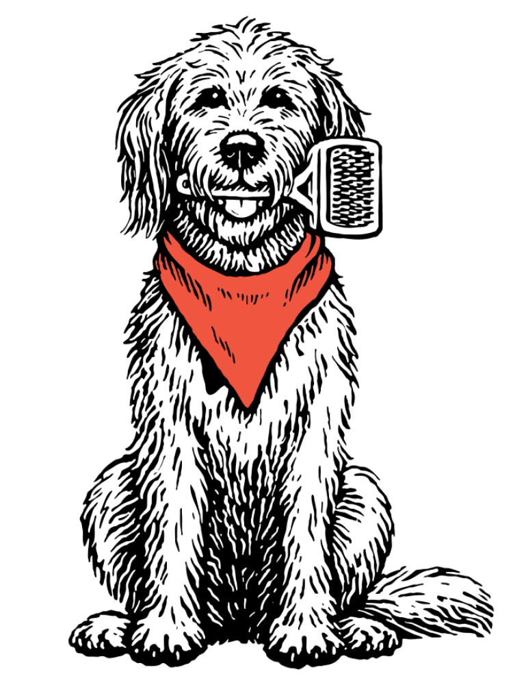 Rosie the goldendoodle getting a maintenance brush