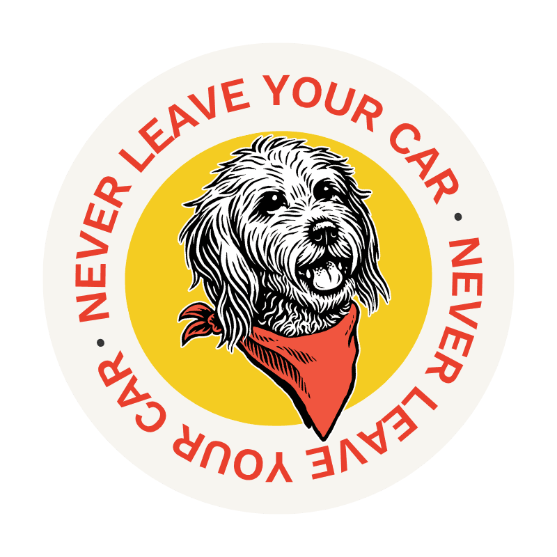 Carside Fetch Service at Good Clean Dog Grooming