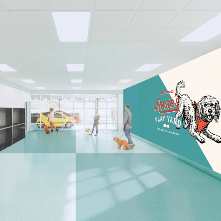 Good Clean Dog Grooming Open Play Room Rendering