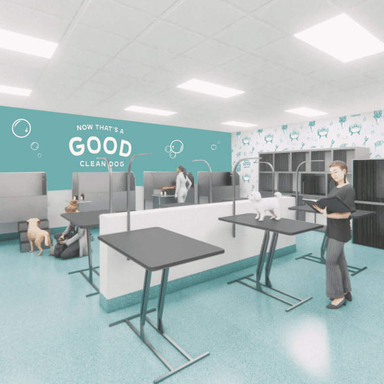 Good Clean Dog Bathing Room Renderings